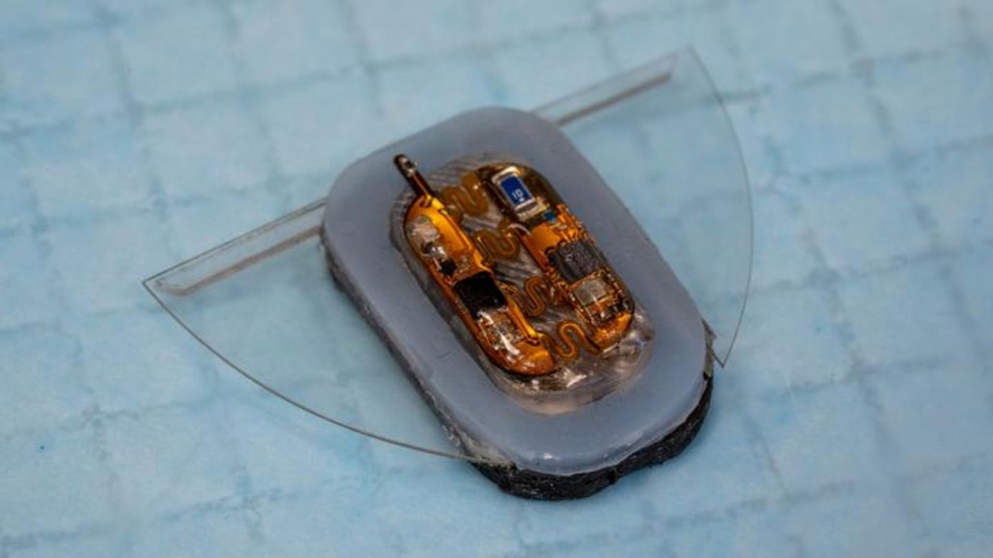 Detalle del robot mantarraya ideado en la Universidad Nacional de Singapur