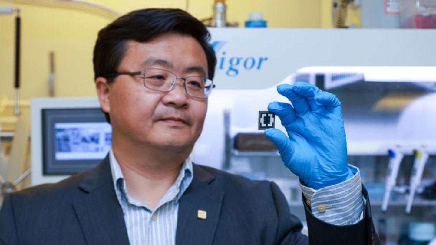 El profesor Li Gang observando una célula tándem