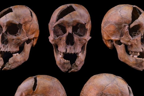 Un misterio de hace 700 años acaba de ser resuelto: ya sabemos quién fue el asesino de este joven duque Un misterio de hace 700 años acaba de ser resuelto: ya sabemos quién fue el asesino de este joven duque