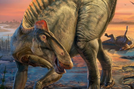 Los paleontólogos estudian "momias de dinosaurios": están en Estados Unidos y son muy importantes para conocer a esta especie