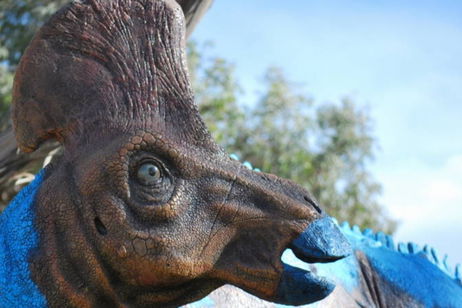 Hemos encontrado huesos rotos de dinosaurio y ahora sabemos más sobre cómo tenían sexo Hemos encontrado huesos rotos de dinosaurio y ahora sabemos más sobre cómo tenían sexo