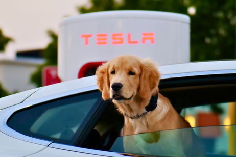 Los coches eléctricos son cada vez más populares en Sudamérica. Otra oportunidad perdida para Tesla