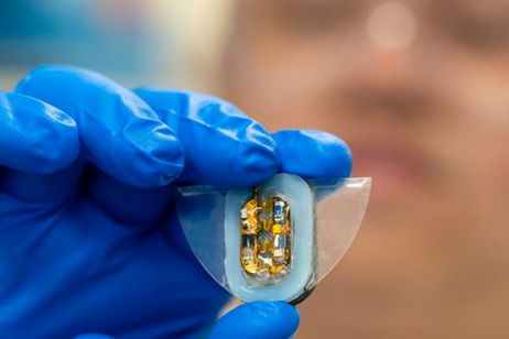 Es blando, se parece a una mantarraya y es un robot: este dispositivo solo necesita campos magnéticos para moverse Es blando, se parece a una mantarraya y es un robot: este dispositivo solo necesita campos magnéticos para moverse