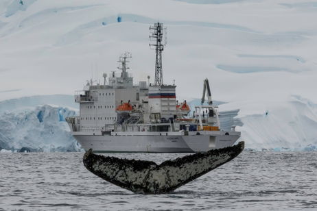 Malas noticias en el Ártico: un sumergible ruso ha encontrado un cementerio nuclear desconocido Malas noticias en el Ártico: un sumergible ruso ha encontrado un cementerio nuclear desconocido