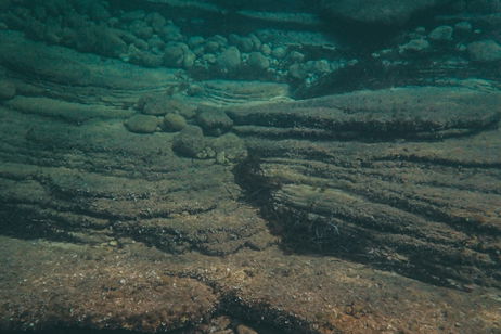 Hay un monstruo (literal) en las profundidades del Atlántico: es gigante, pero no hay nada que temer Hay un monstruo (literal) en las profundidades del Atlántico: es gigante, pero no hay nada que temer