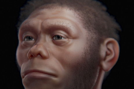 Ya sabemos por qué desaparecieron los "hobbit" en Indonesia: todo ocurrió hace más de 60.000 años Ya sabemos por qué desaparecieron los "hobbit" en Indonesia: todo ocurrió hace más de 60.000 años