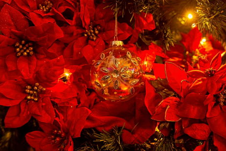 Si creías que la Nochebuena se celebra el día 24 de diciembre, la fecha de este país norteamericano te sorprenderá Si creías que la Nochebuena se celebra el día 24 de diciembre, la fecha de este país norteamericano te sorprenderá