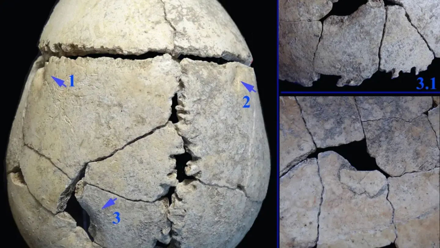 Imagen del cráneo destrozado por el ataque del león en la Bulgaria de hace milenios