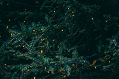 Este 2025 los famosos apuestan por los árboles de Navidad casi desnudos ¿qué son?