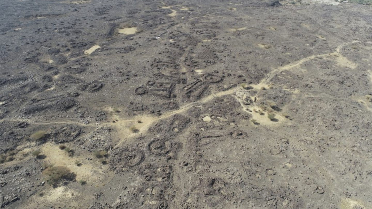 Vista aérea de una avenida funeraria