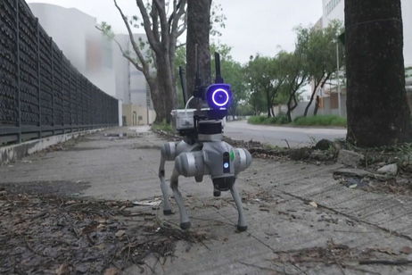 Las evaluaciones ambientales quedan a cargo de estos nuevos perros robots. Llevan láseres y están impulsados por IA