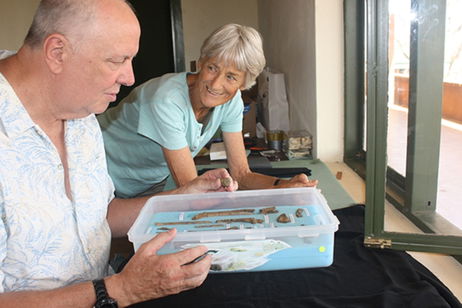 Este antepasado del ser humano no se parecía casi en nada a nosotros, estos fósiles lo demuestran