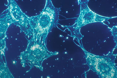 Científicos descubren una nueva regla de la biología: la inestabilidad podría ser clave para la evolución y el envejecimiento Científicos descubren una nueva regla de la biología: la inestabilidad podría ser clave para la evolución y el envejecimiento