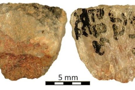 Hace 60.000 años, la caza no era solo cuestión de fuerza. Se descubre el arma con veneno más antigua del mundo Hace 60.000 años, la caza no era solo cuestión de fuerza. Se descubre el arma con veneno más antigua del mundo
