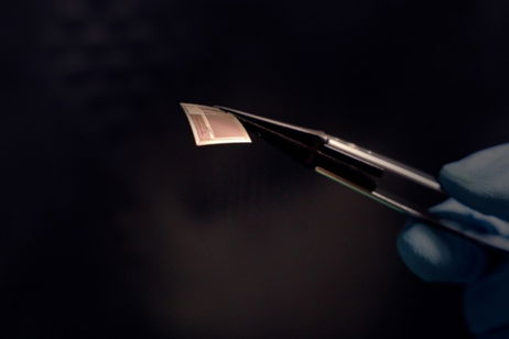 Es parecido a un sello, pero en realidad se trata de un chip que podría revolucionar el tratamiento de enfermedades neurológicas Es parecido a un sello, pero en realidad se trata de un chip que podría revolucionar el tratamiento de enfermedades neurológicas