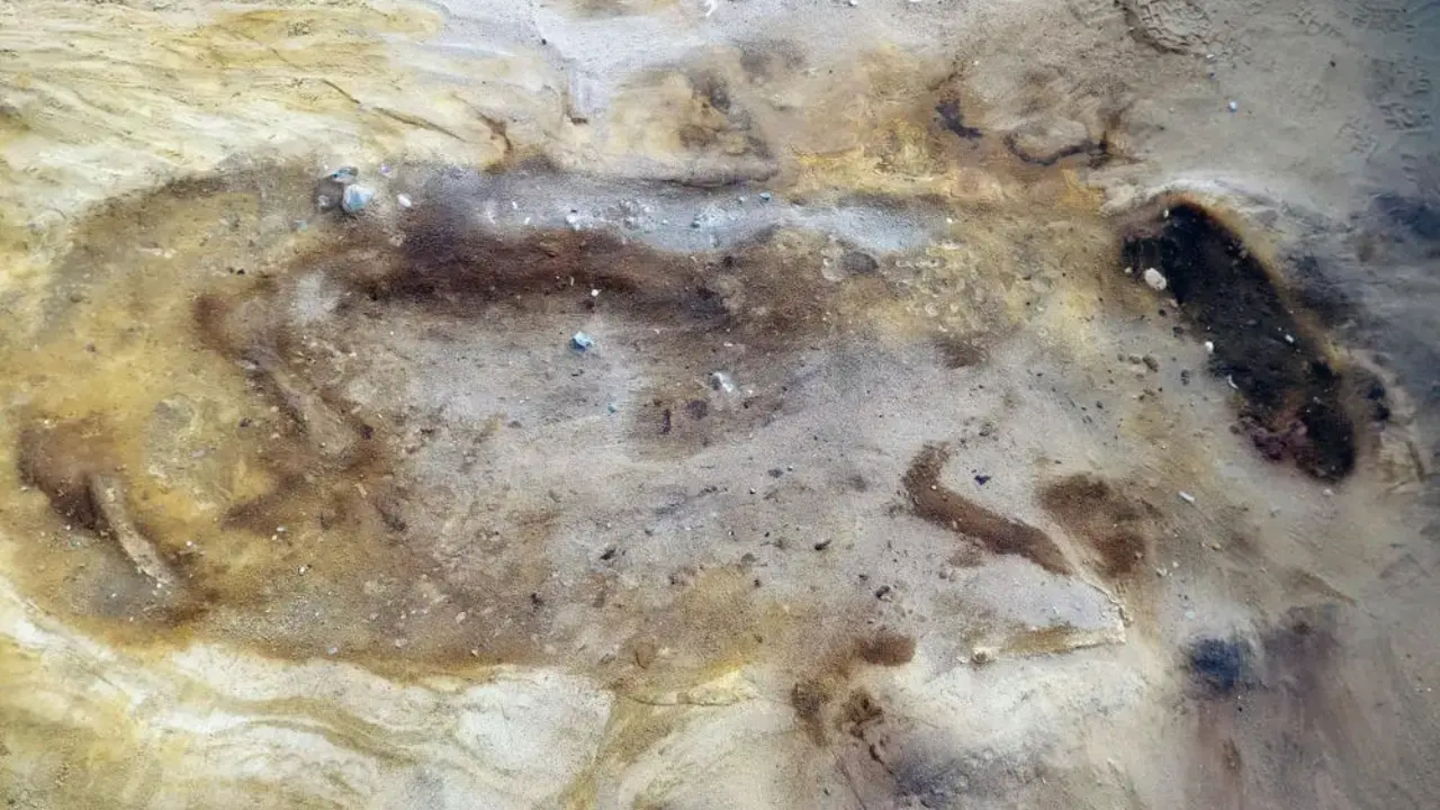 Este es el caballo descubierto en el condado de Suffolk