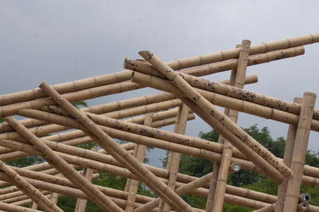 Construir con bambú podría ponerse de moda: flexible, duradero y con bajas emisiones de carbono