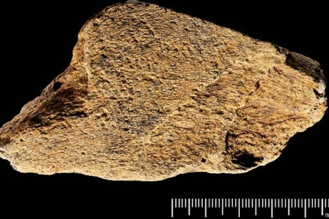 Tiene 500.000 años, es un martillo y nos ha dado datos increíbles sobre nuestros antepasados: eran más listos de lo que pensábamos Tiene 500.000 años, es un martillo y nos ha dado datos increíbles sobre nuestros antepasados: eran más listos de lo que pensábamos