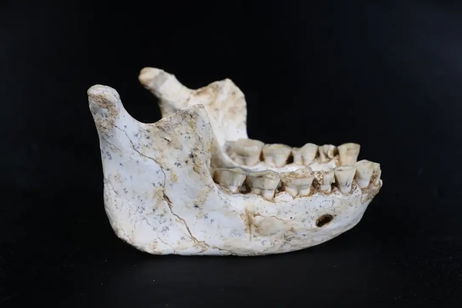 Científicos podrían haber descubierto el eslabón clave de la evolución humana y está muy cerca de España Científicos podrían haber descubierto el eslabón clave de la evolución humana y está muy cerca de España