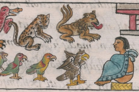 Humanos y animales según los arqueólogos: los aztecas también enviaban a sus mascotas al templo para ser sacrificados Humanos y animales según los arqueólogos: los aztecas también enviaban a sus mascotas al templo para ser sacrificados