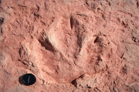 Unas huellas de dinosaurios de hace 132 millones de años están a punto de resolver un "período oscuro" de la historia