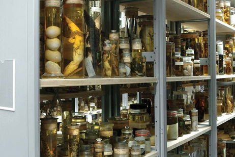 Han escaneado estos objetos que pertenecían a Darwin de una manera que parecía 'imposible' Han escaneado estos objetos que pertenecían a Darwin de una manera que parecía 'imposible'