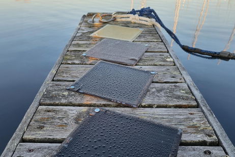 Los residuos agrícolas tendrán una nueva vida: serán reciclados y convertidos en este resistente material Los residuos agrícolas tendrán una nueva vida: serán reciclados y convertidos en este resistente material