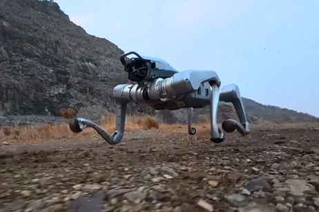 Es ligero, tiene una gran agilidad y está impulsado por IA: así es el nuevo 'roboperro' de Unitree