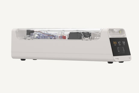 Las células cerebrales humanas podrían sustituir a los chips de NVIDIA. Ya gestionan pequeños centros de datos