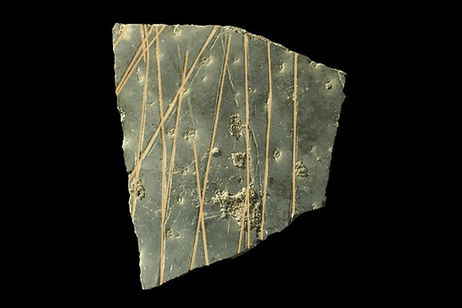 Marcas de 60.000 años de antigüedad en cáscaras de huevos de avestruz revelan un secreto bien guardado Marcas de 60.000 años de antigüedad en cáscaras de huevos de avestruz revelan un secreto bien guardado