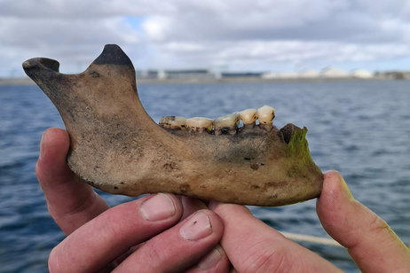 Han descubierto unos restos humanos de hace 200 años relacionados con esta batalla legendaria