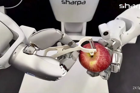 Una nueva tecnología robótica permite a las máquinas pelar, cortar y manipular objetos irregulares