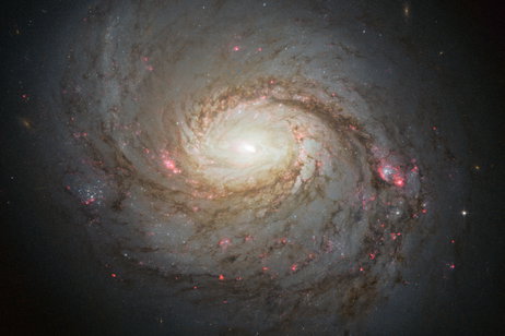 El telescopio James Webb de la NASA revela el brillante corazón de la galaxia espiral Messier 77